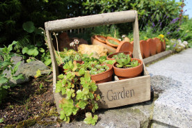  Das I-Tüpfelchen für jeden Garten - Zauberhafte Gartendeko