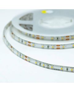 Bioledex LED Streifen 12V 5W/m 60LED/m 6000K 5m Rolle IP65 tageslichtweiss
